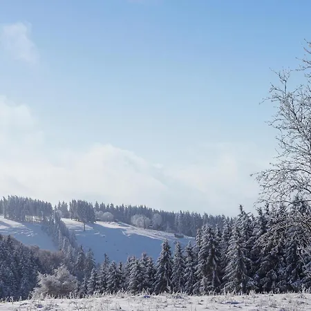 Ferienhauspark Holiday home Hasselfelde
