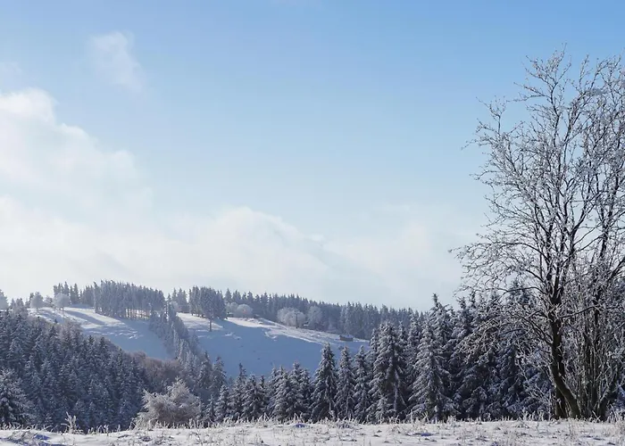 Ferienhauspark Tatil Evi Hasselfelde