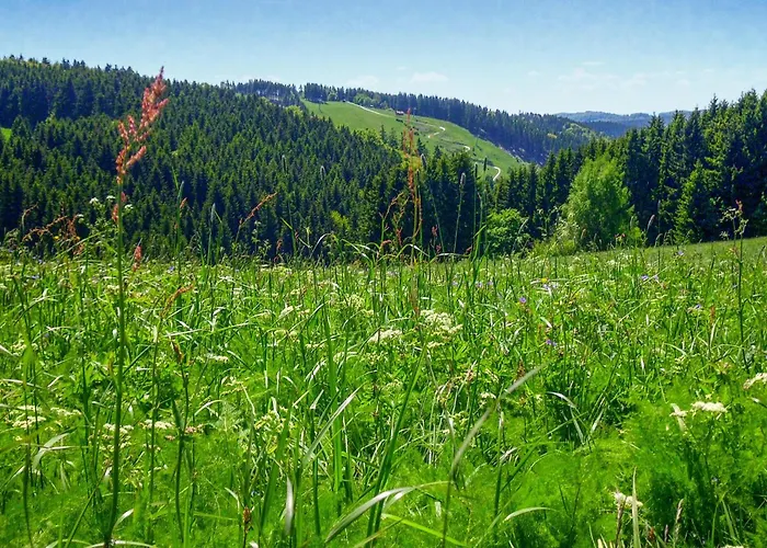 Ferienhauspark * Hasselfelde