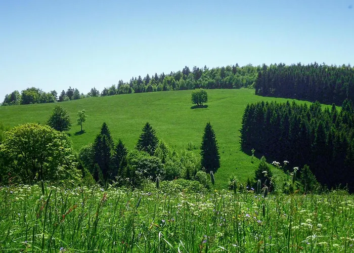 Ferienhauspark Tatil Evi *